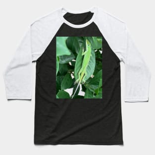 Green anole Baseball T-Shirt